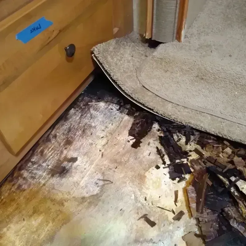 Best Wood Floor Water Damage Service in Benson, UT